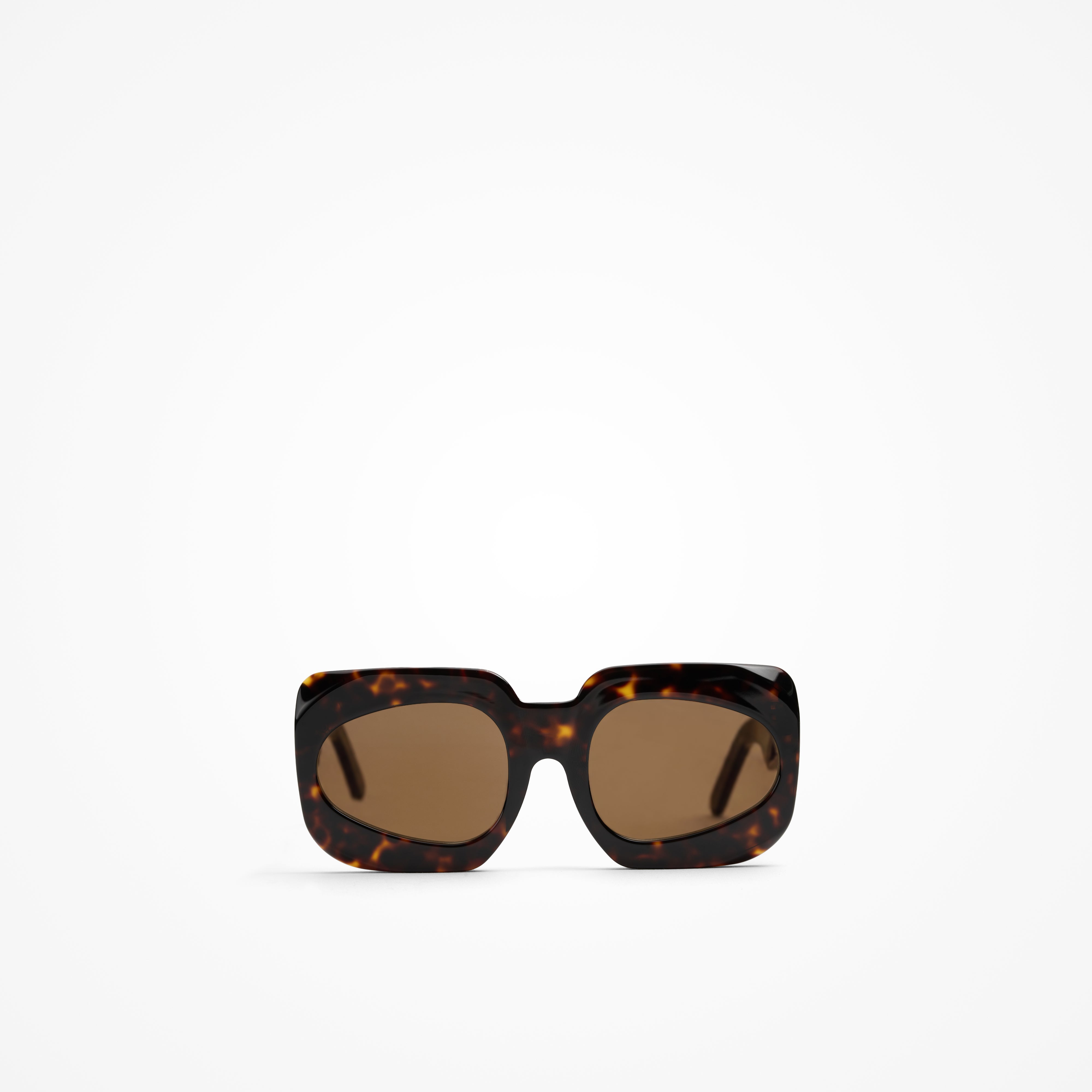 #color_tortoise