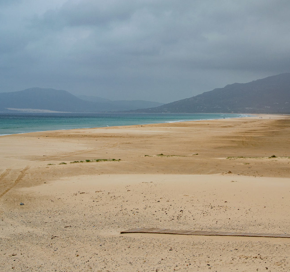 Tarifa