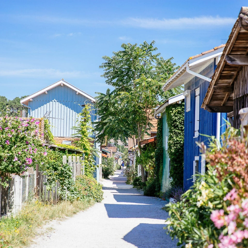 Cap Ferret