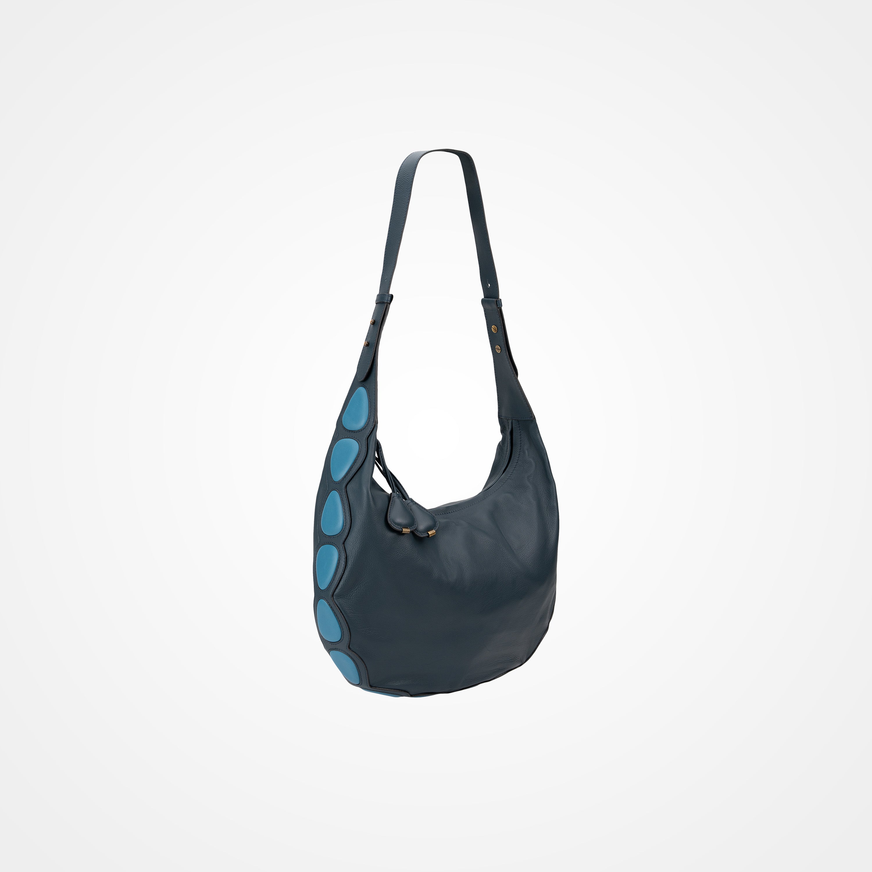 #color_assisi blue / coral blue