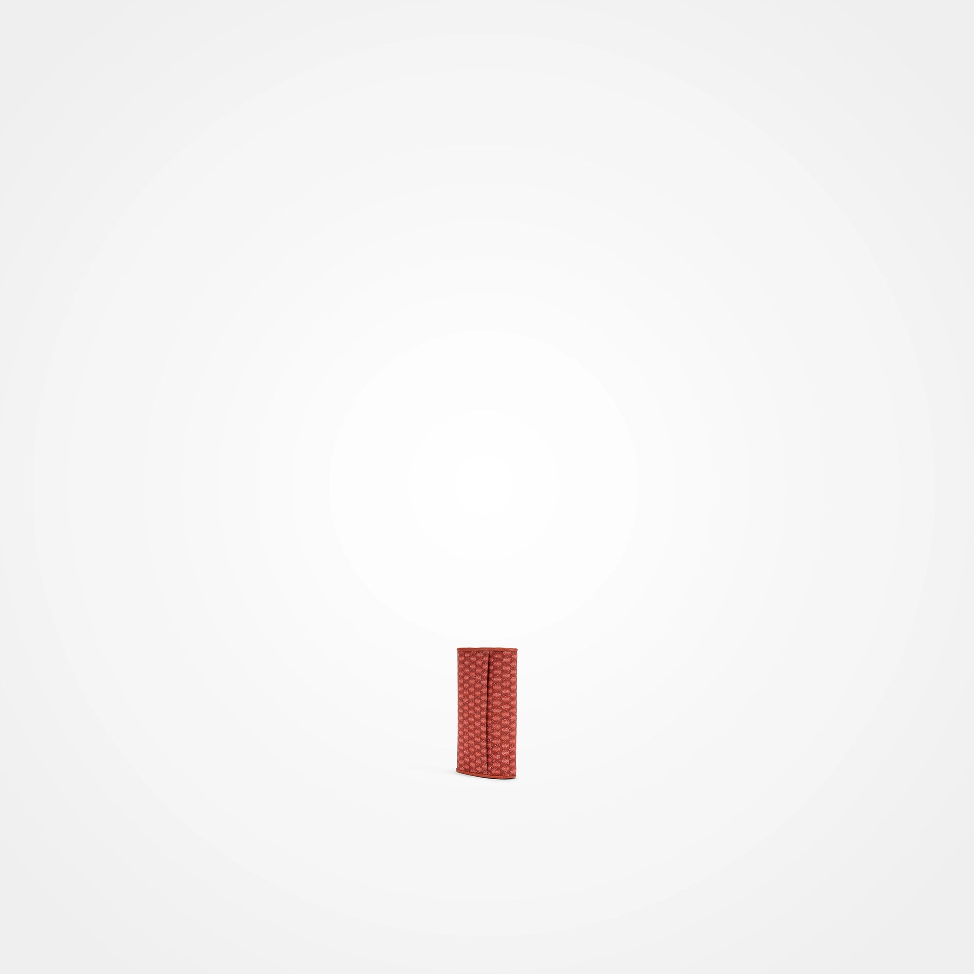 #color_Cinnamon Stick